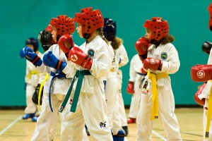 taekwondo sparring